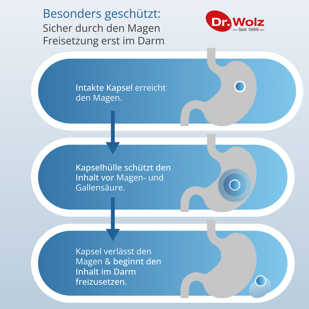 Dr. Wolz Darmflora plus URO - 40 Kapseln - Schleimhäute und Blasengesundheit image 2