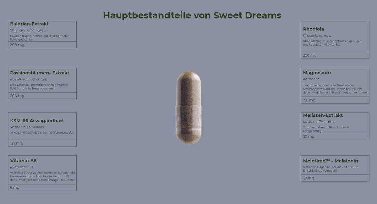 Active Sweet Dreams - Einschlafhilfe mit Melatonin - 60 Kapseln - Salengei™ image 2