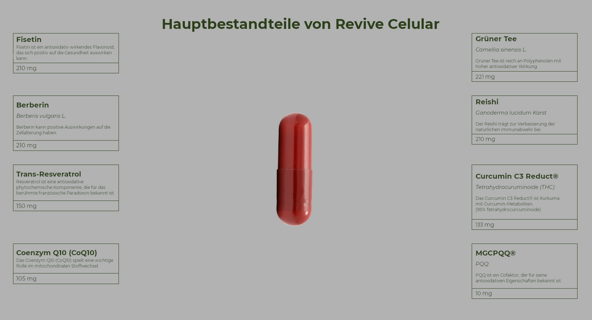 Active Revive Celular - Natürliches Anti-Aging - 60 Kapseln - Salengei™ image 2
