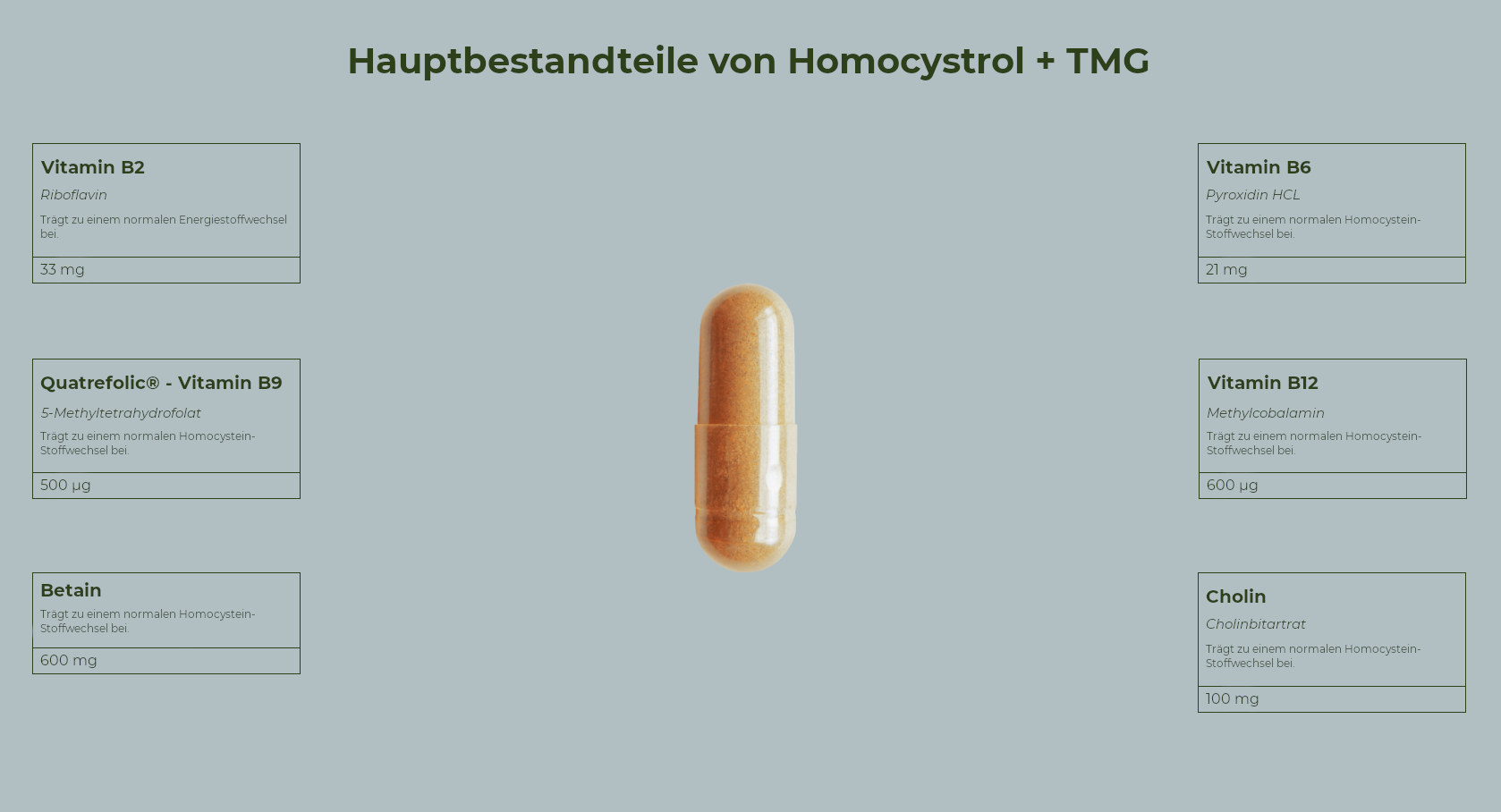 Active Homocystrol + TMG™ - Homocystein-Kontrolle - 60 Kapseln - Salengei™ image 2
