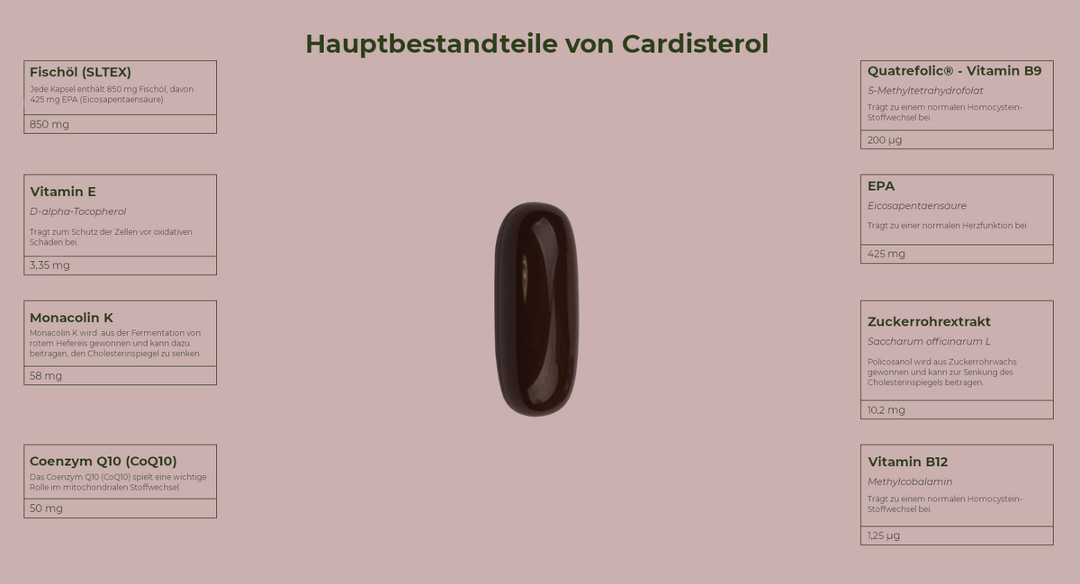 Active Omega 3 Cardisterol - Herzgesundheit  - 60 Kapseln - Salengei™ image 2