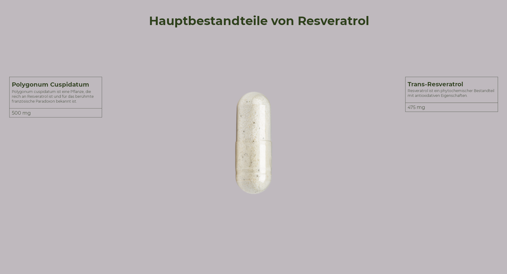 Active Resveratrol - Herzgesundheit und Menopause - 60 Kapseln - Salengei™ image 2