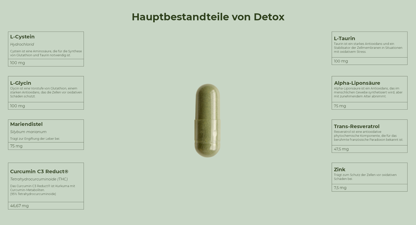 Active Detox - Natürliche Leberentgiftung - 60 Kapseln - Salengei™ image 2