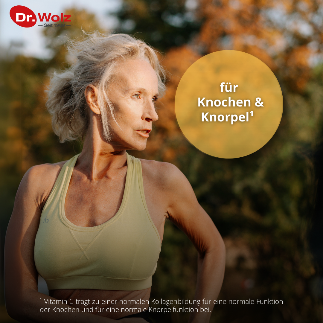Dr. Wolz ProAktiv Komplex 80 Kapseln - Mikronährstoffe für Knochen und Knorpel image 2