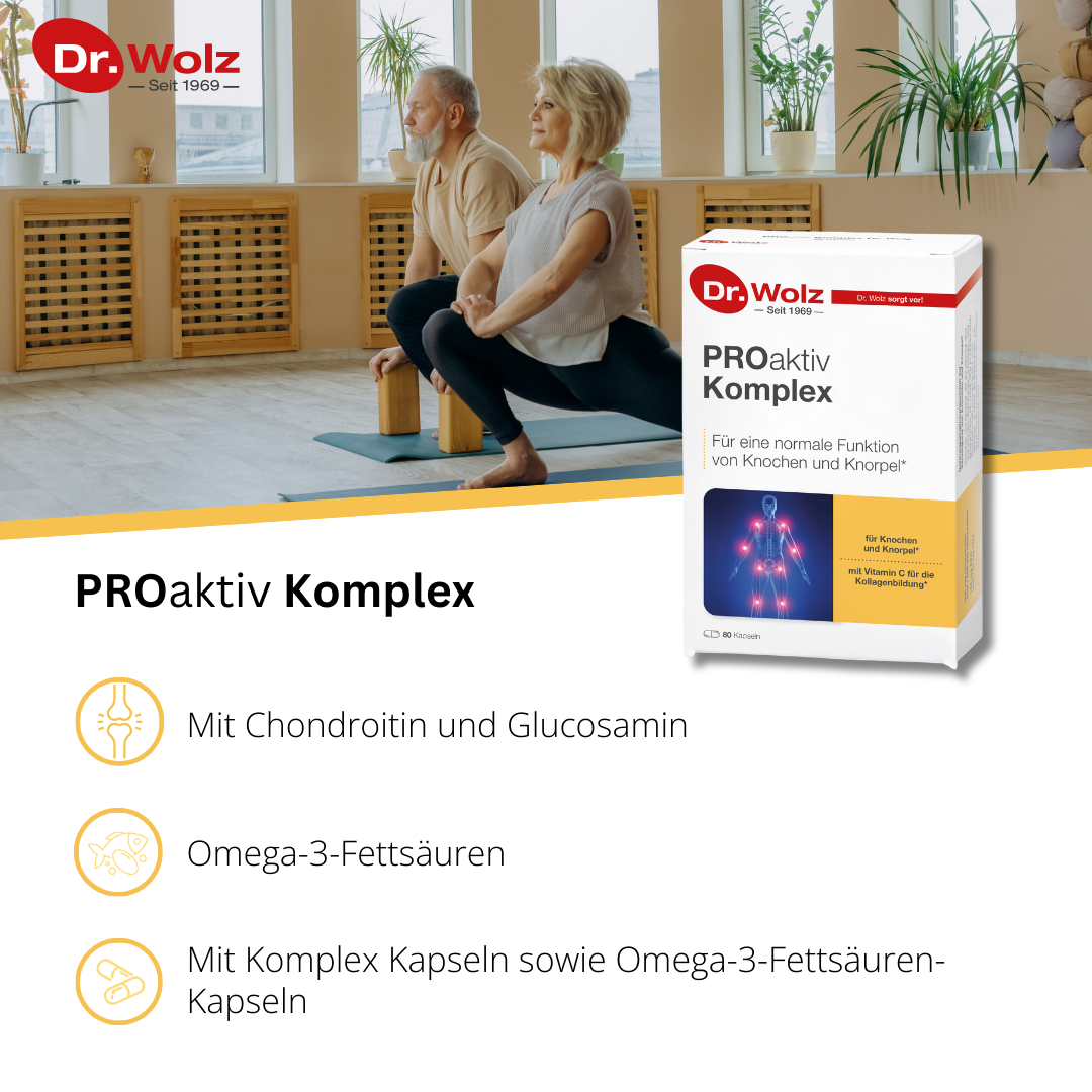 Dr. Wolz ProAktiv Komplex 80 Kapseln - Mikronährstoffe für Knochen und Knorpel image 1