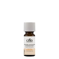 Sandorini Saunaaufguss-Konzentrat mit BIO-Sanddornöl 10ml (CMD Naturkosmetik®) image 0