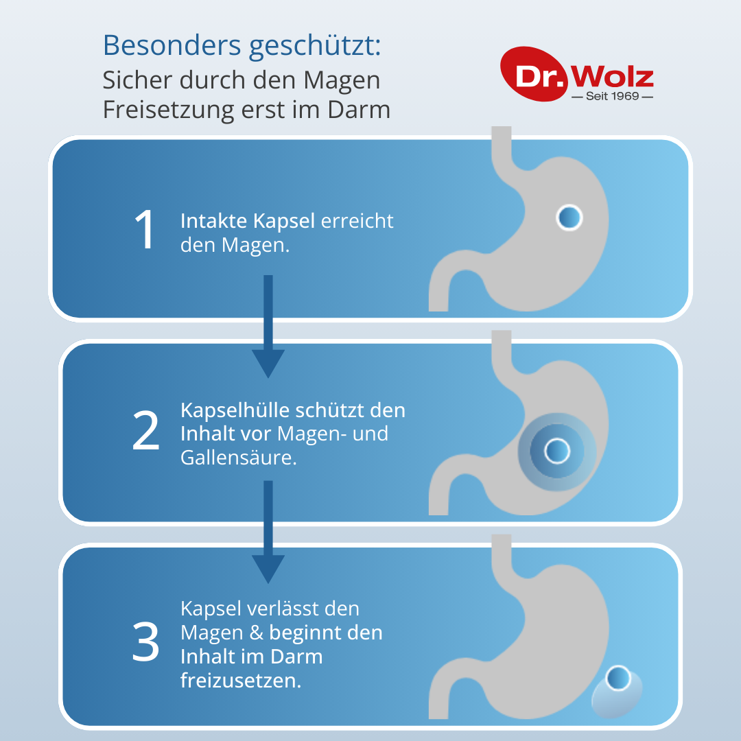 Dr. Wolz Darmflora plus select - 40 Kapseln zur Unterstützung der Darmflora image 2