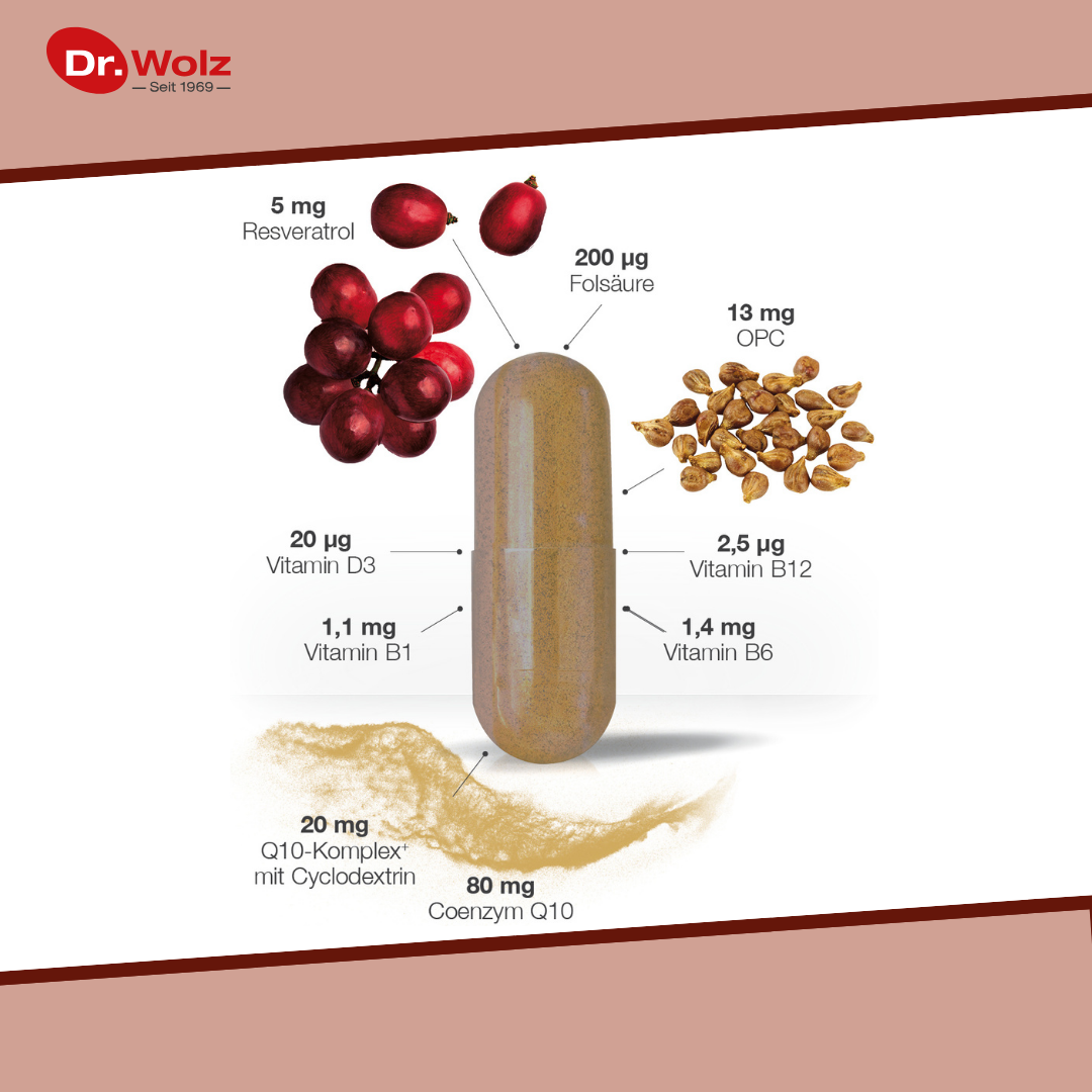Dr. Wolz Cardio Protect Q10 - 40 Kapseln mit Q10, Vitaminen, Resveratrol und OPC image 2